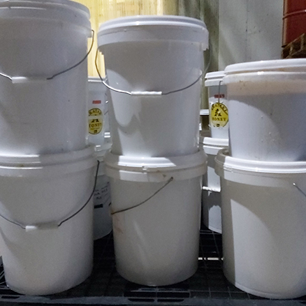 Hiraola's Product Image